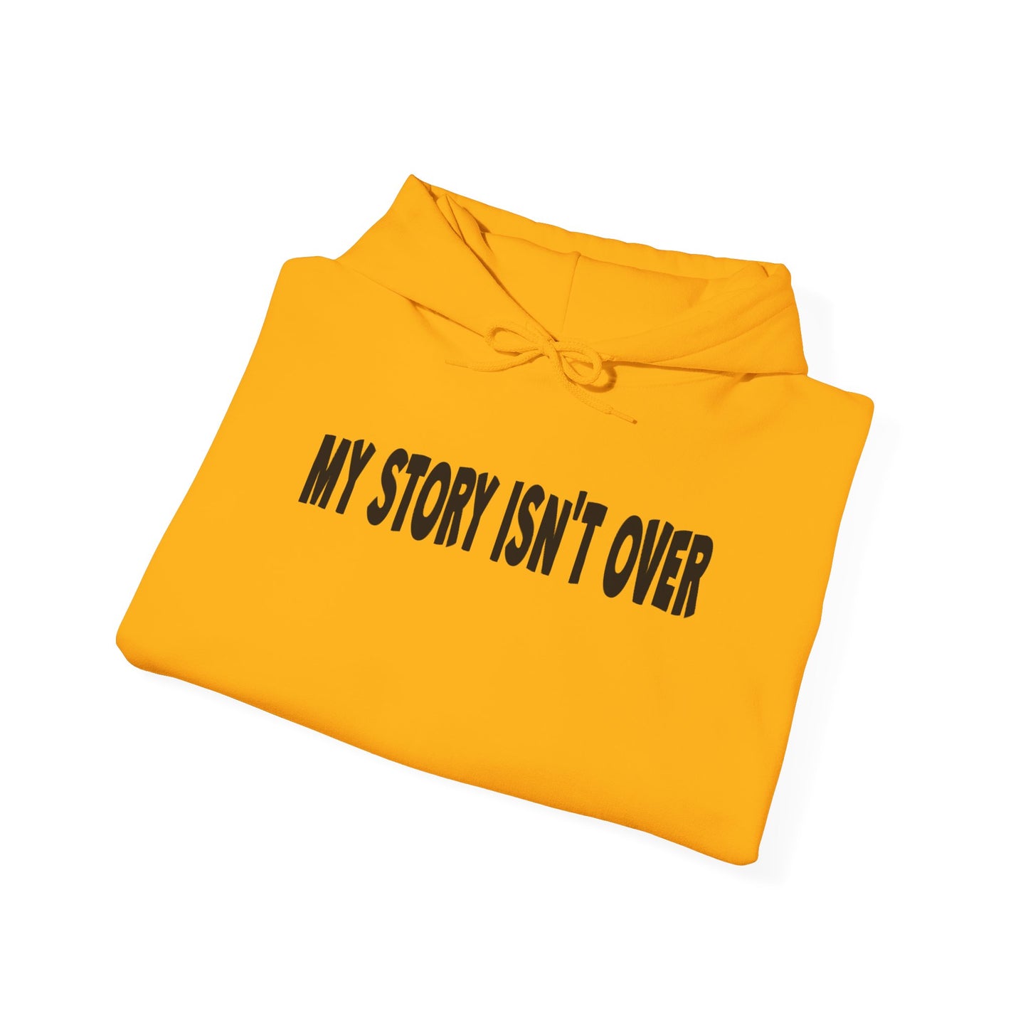 My Story Isn't Over Hoodie